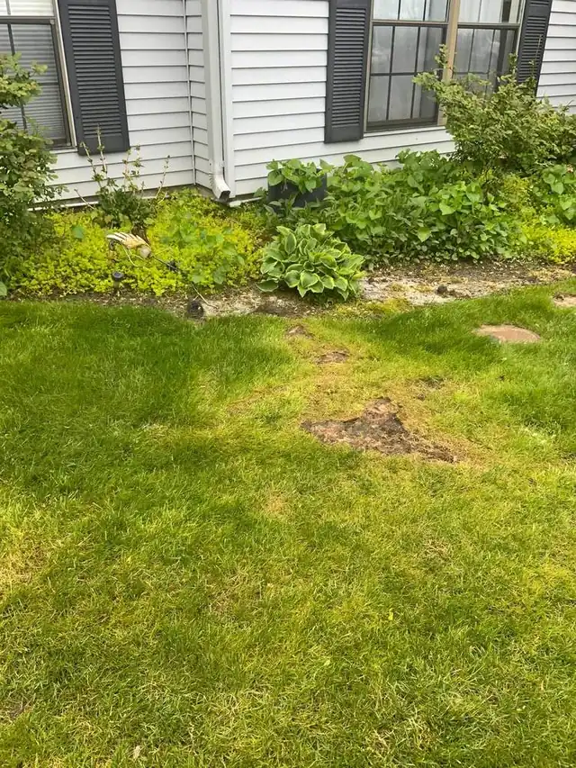 Backyard scooped and deodorized by PooGO in Atlantic County, NJ