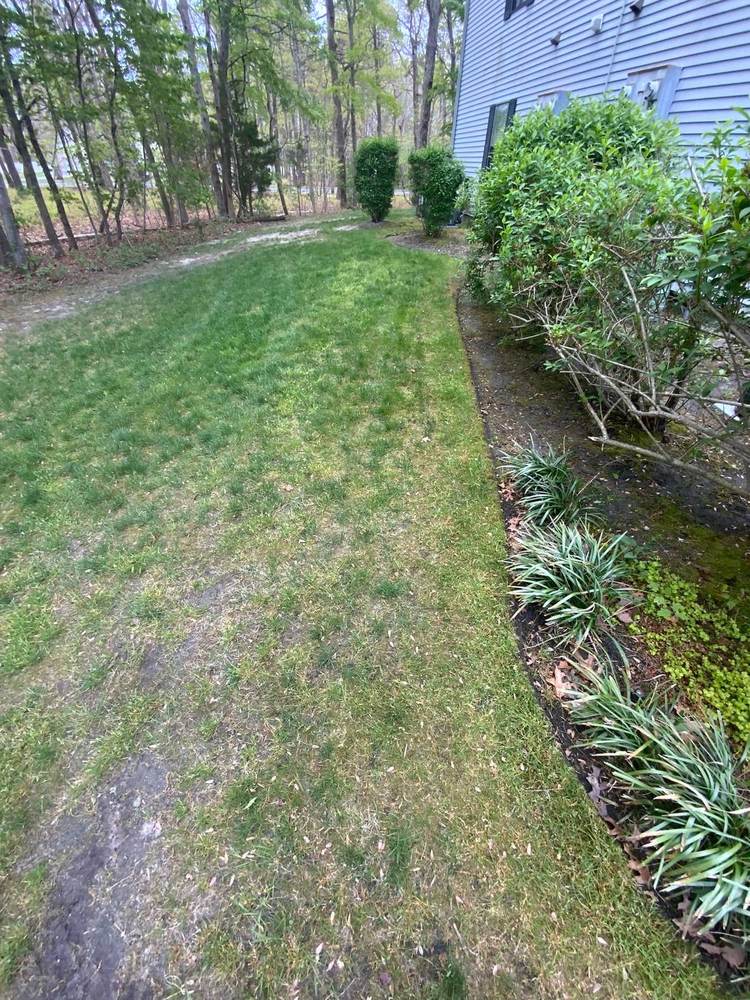 Deep Yard Cleanup in South Jersey