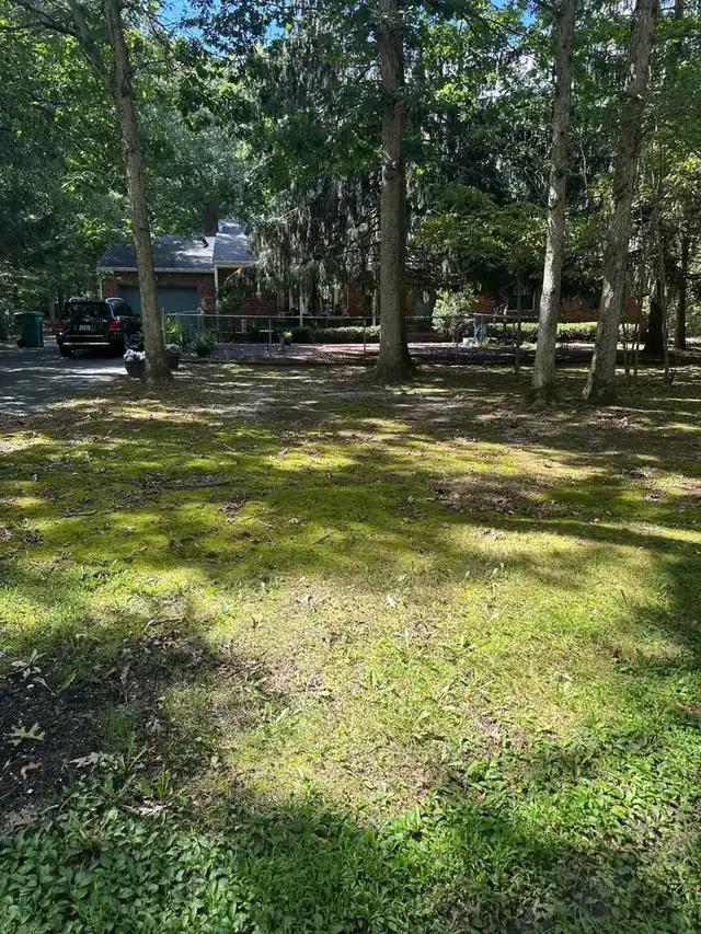 Large wooded backyard cleared of pet waste by PooGO in South Jersey