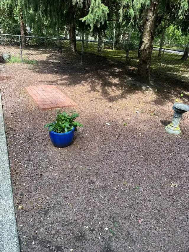 Fenced rock dog area with scattered debris before PooGO cleanup in South Jersey
