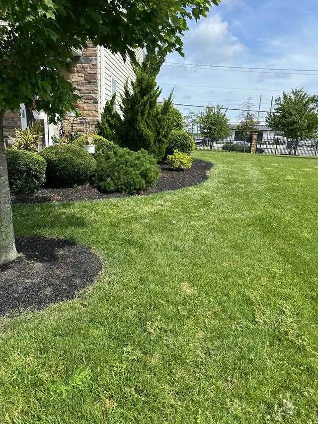 Freshly cleaned green lawn at a South Jersey townhome community