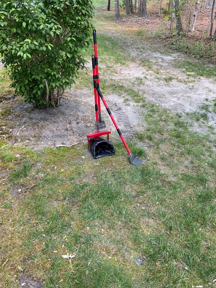 One-Time Yard Cleanup in South Jersey