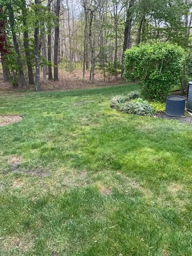 Clean backyard lawn after weekly pet waste removal in Galloway, NJ